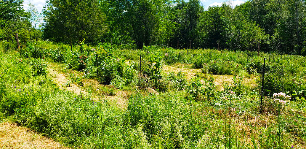 Rural Ochard Guild - 2nd Season