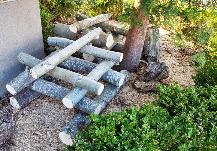 Mushroom Logs