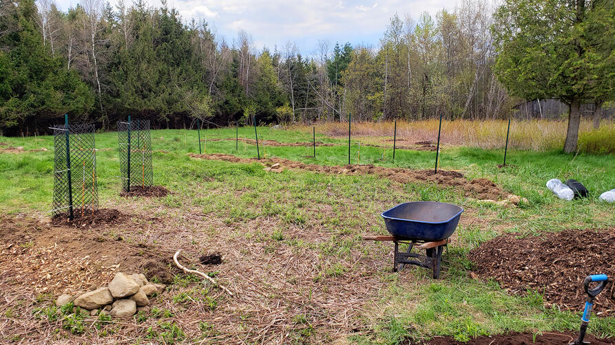 Rural Orchard Guild