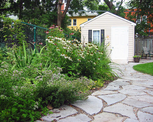 Urban Pollinator Garden