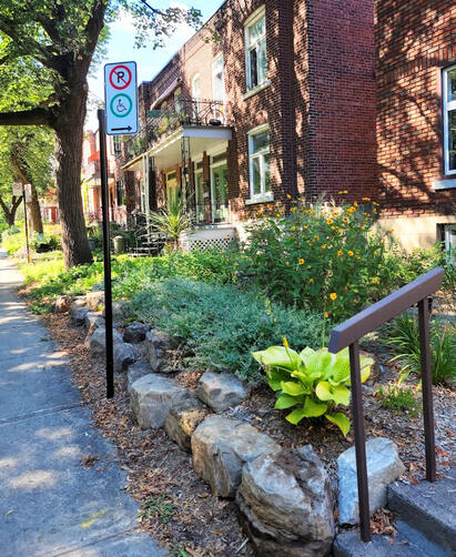 Urban Pollinator Garden - 2nd Season