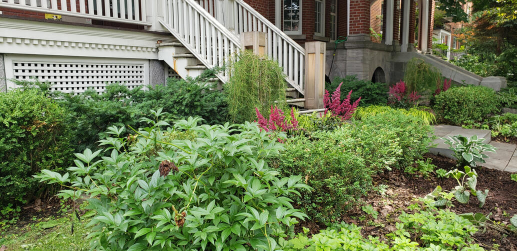 Urban Pollinator Garden - 1st Season