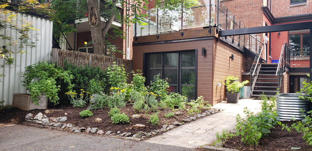 Urban Pollinator &amp; Herb Garden - 1st Season