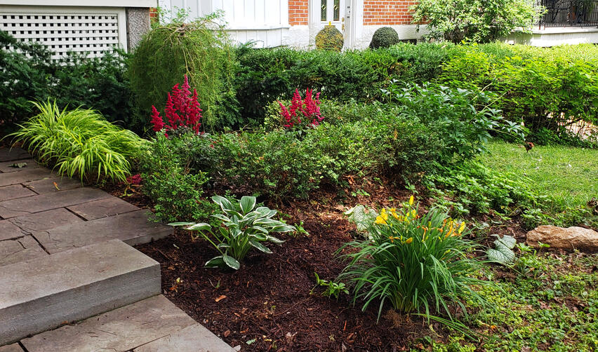 Urban Pollinator Garden - 1st Season