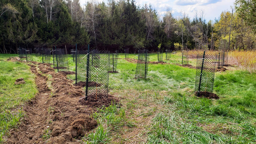 Rural Orchard Guild