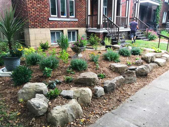 Urban Pollinator Garden - 1st Season