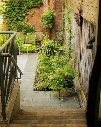 Urban Meditative Garden