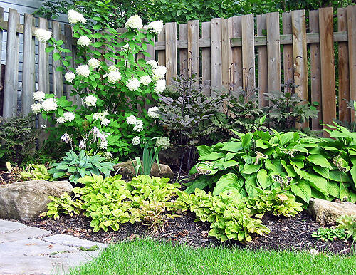 Urban Pollinator Garden